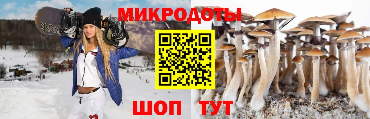 Гуково  Галлюциногенные грибы Magic Shrooms  Галлюциногенные грибы ЛСД  Вход с VPN 